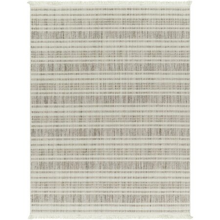 New Delhi NWH-2304 Area Rug , With Fringe